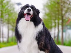 -锦江中华村农家乐饭庄