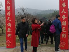 -香雪海