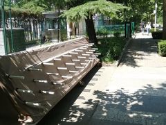 -三里屯东五街银杏大道