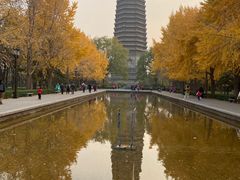 -玲珑塔公园