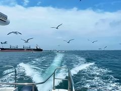 -巧克力渔家.小船海鲜胶东菜(万平口店)