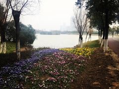 -艾溪湖湿地公园