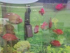 -雅悦齿科(顾村公园店)