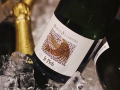 -Wine Universe 宇宙酒馆