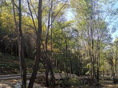-帽儿山风景区