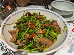 -壹盏灯(惠农店)