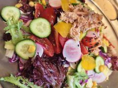 金枪鱼蔬菜沙拉-范儿·嫂子烤肉·精致炭火烤肉(长治路店)