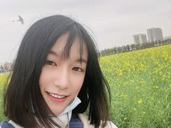 -光明小镇欢乐田园