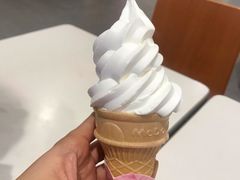 -麦当劳(小白楼店)