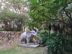 -厦门日月谷温泉渡假村