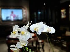 -中国昆曲博物馆