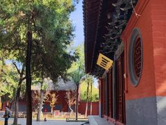 -洛阳白马寺