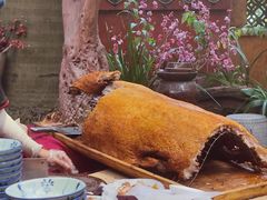 -园林美食城·本土农家菜(杨和镇店)