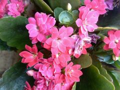 android_upload_pic-大玩家超乐场(高新万达店)