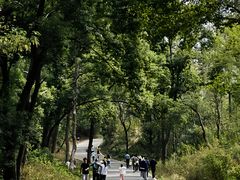 -青龙山国家森林公园