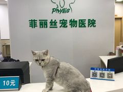 -菲丽丝宠物医院·24小时·猫科中心·免疫点(淮海分院)
