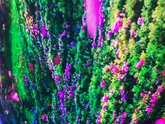 -南楚古都