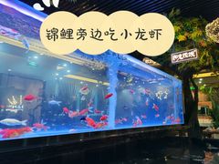 -阳光院坝小龙虾(红牌楼店)