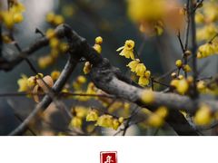 -山东师范大学(千佛山校区)