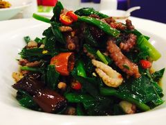 鱿鱼-国力仁和(凤城三路店)