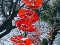 -广州市白云山风景名胜区