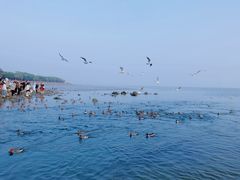 -深圳湾公园(南山区)