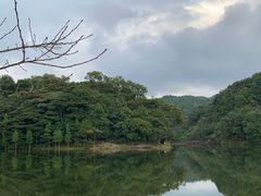 -广州市石门国家森林公园