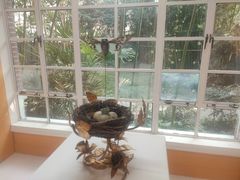 -胶囊画廊
