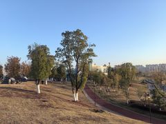 -九龙湖公园