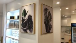 -YESIDO椰岛造型