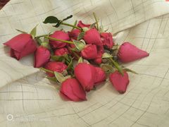 -皇冠幸福里动物奶油生日蛋糕(万达店)