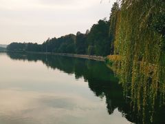 -湖滨客舍·湖北菜