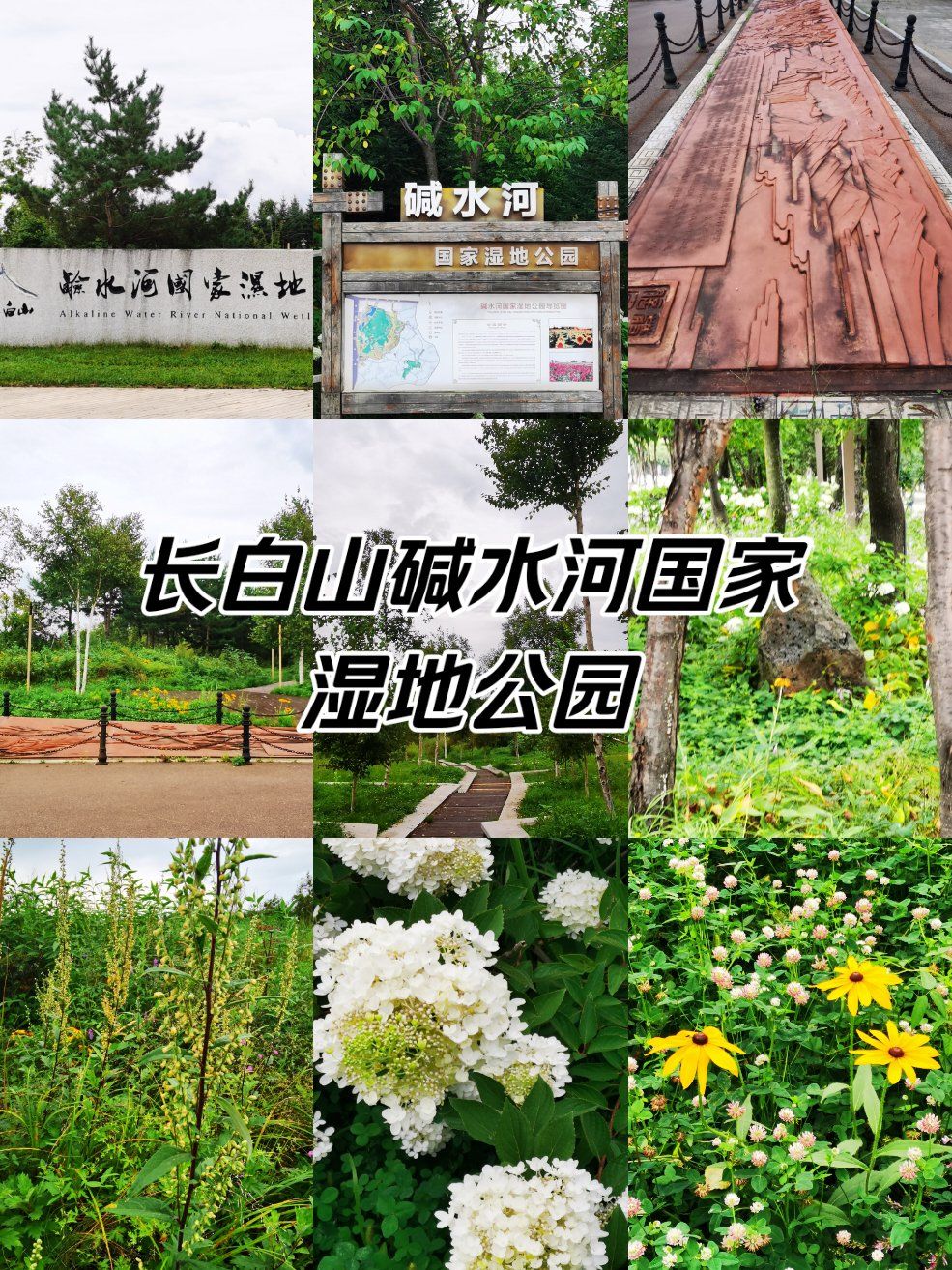 二道白河•长白山碱水河国家湿地公园