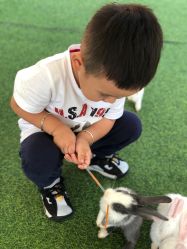 -萌宠亲子动物乐园(槐房万达店)