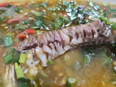 -老街无刺鲫鱼