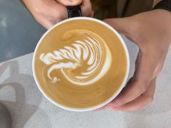 -Torch Coffee 炬点咖啡