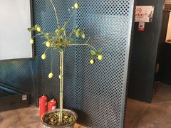 -半山腰·云南菜(侨福芳草地店)