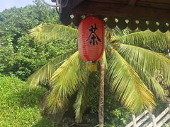 -海南分界洲岛旅游区