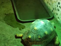 -上海大自然野生昆虫馆