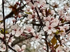 -唐城墙遗址公园