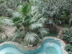 -黑龙江中医药大学附属第一医院