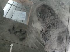 -延庆地质公园博物馆
