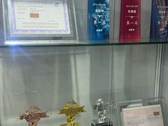 -青奢宠物·青奢猫舍