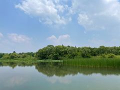 -溱湖国家湿地公园