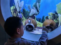 -芜湖新华联大白鲸海洋公园