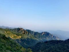 -大岭沟猕猴桃谷风景区