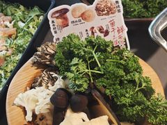 -楠小云·云南鲜菌·鲜牛自助火锅(九眼桥店)