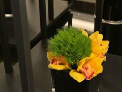 -上海虹桥祥源希尔顿酒店