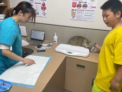 -嘉美宠物医院