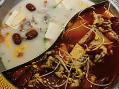 -麻田会 ·鲜活现烹·牛蛙火锅(珠江新城维家思广场店)